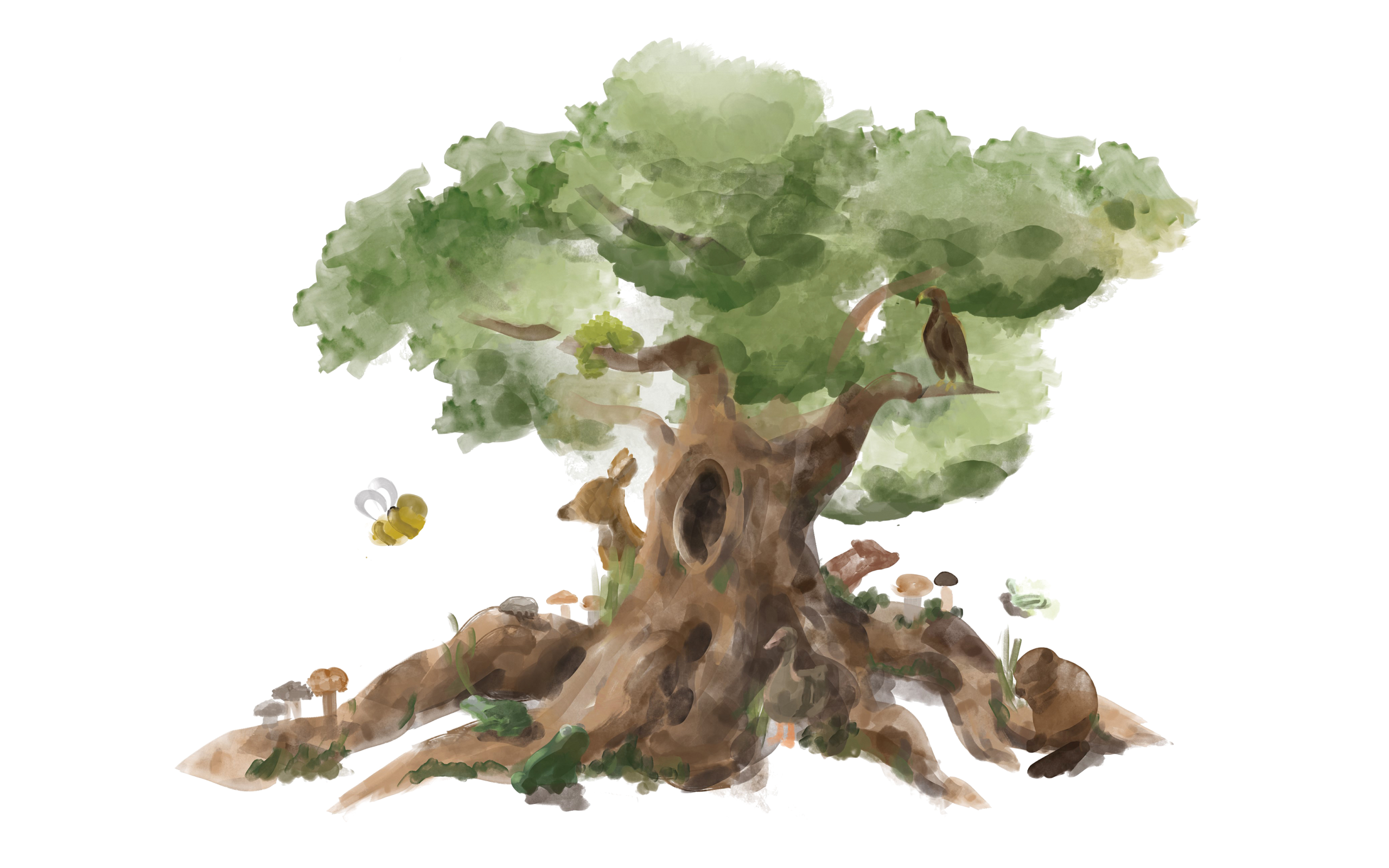 Tree Image