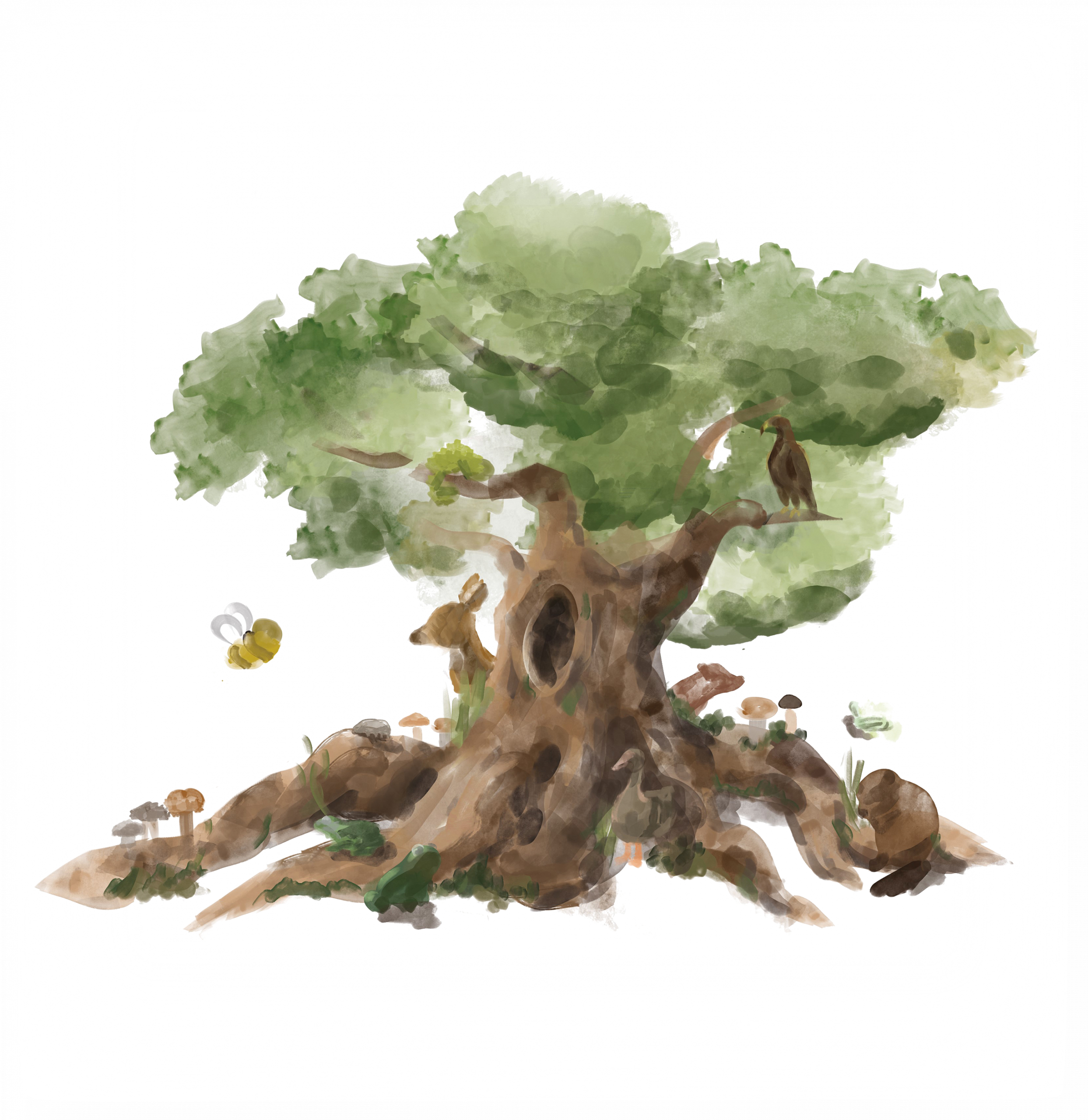 Tree Image